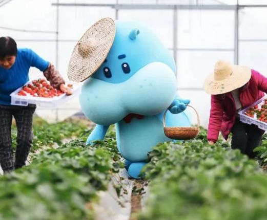 中国土特产成为乡村振兴的香饽饽